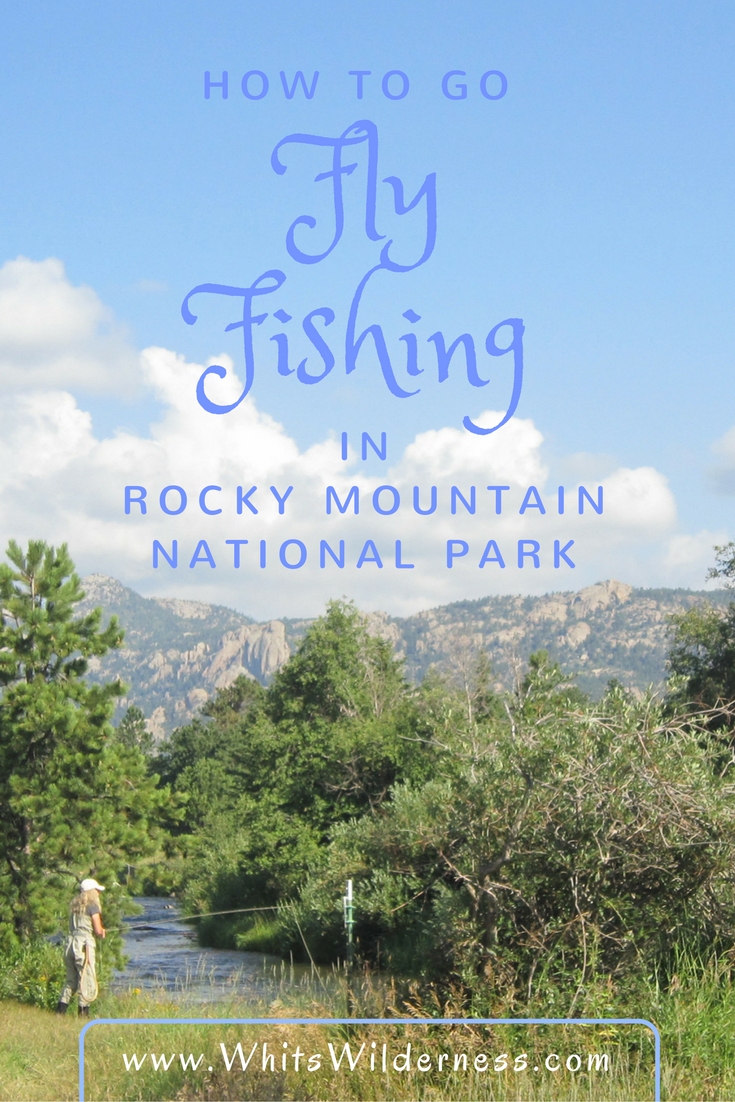 How to Go Fly Fishing in Rocky Mountain National Park Whit's Wilderness
