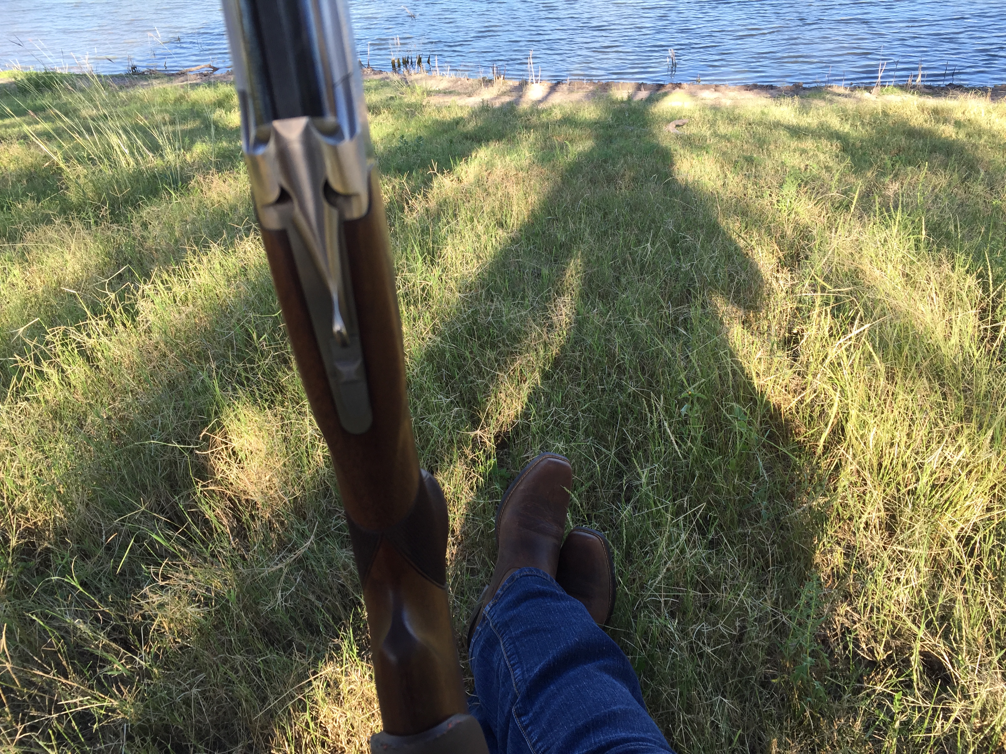 dove hunting in south texas, what to take dove hunting in south texas