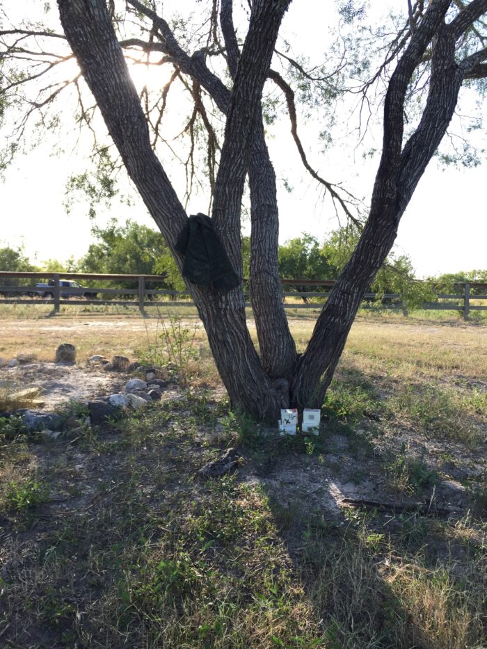 dove hunting in south texas, what to take dove hunting in south texas