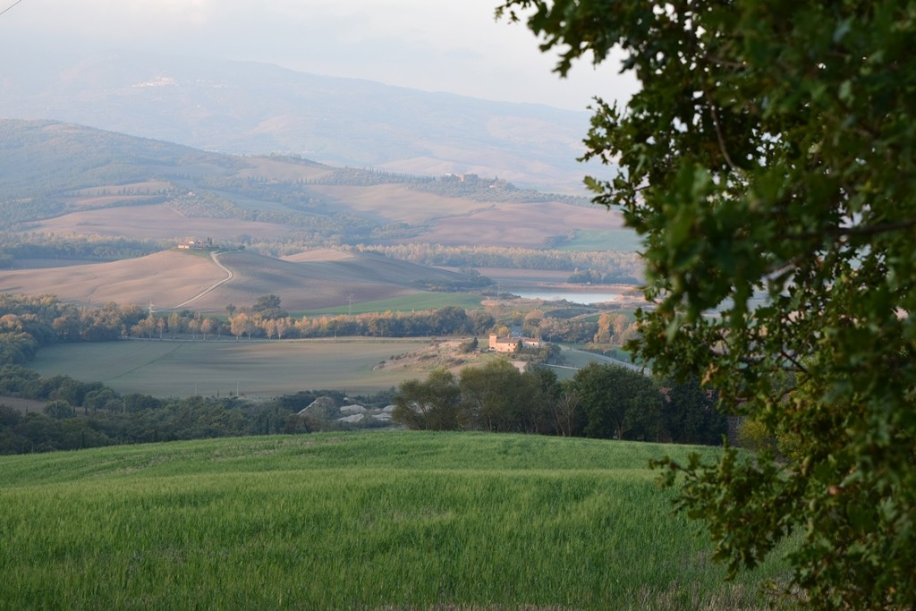 Tuscany countryside La Foce