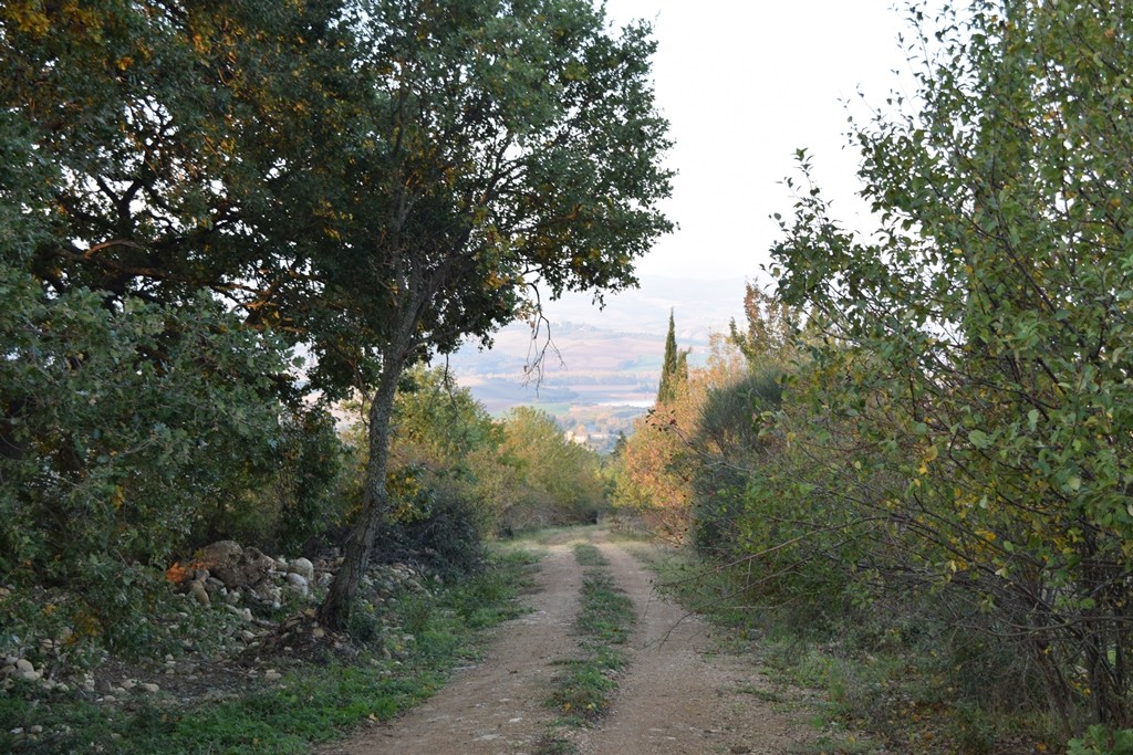 2015-11-01 Morning Walk in Tuscany (13)