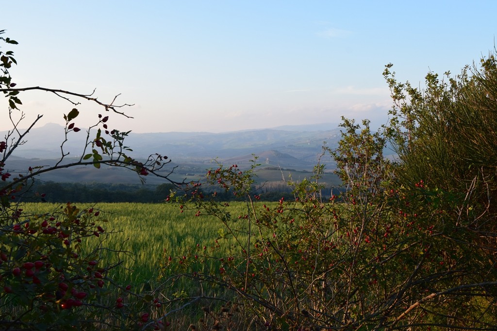 tuscan countryside la foce