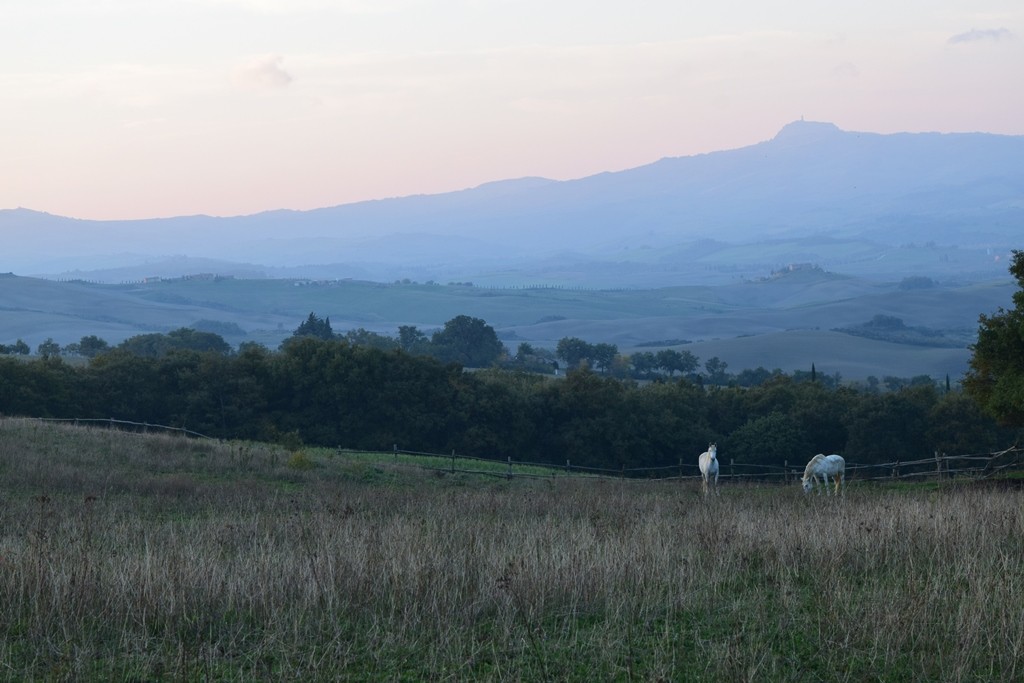 Tuscany countryside La Foce