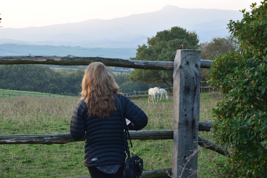 Tuscany countryside La Foce