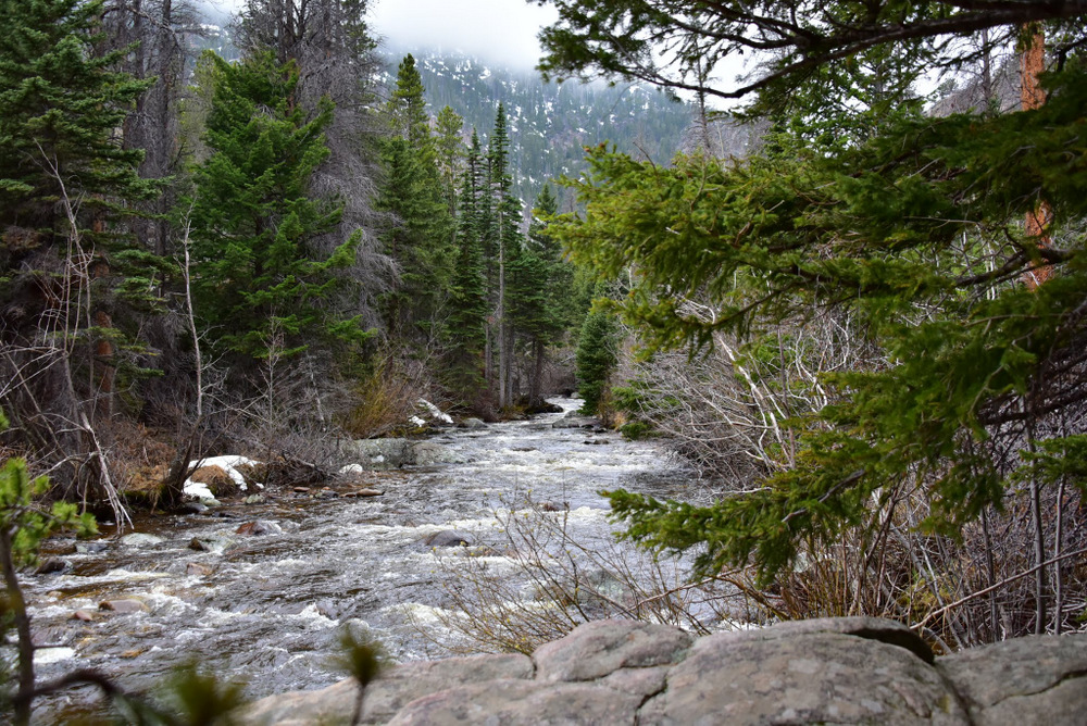 Fern Lake trail