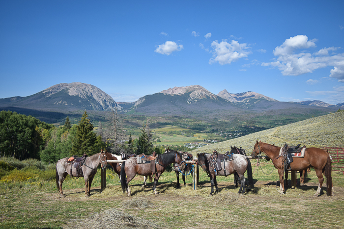 breck-horseback-riding-2016-6