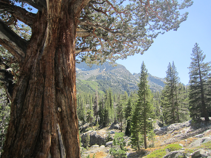 shadow-lake-and-pct-29-of-106