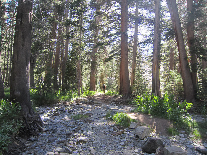 shadow-lake-and-pct-30-of-106